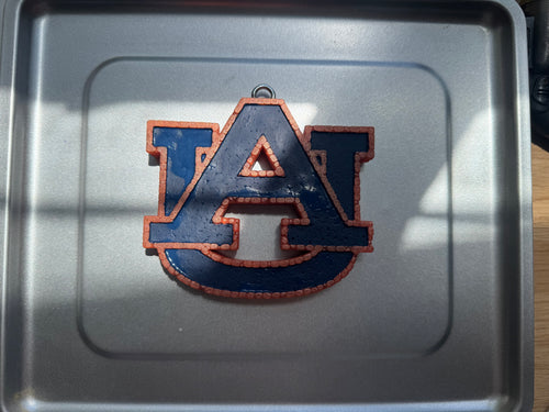 Auburn Freshie